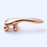 4D Roller Massager: Lift, firm, and shape with micro-current for face and body.