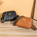 "2023 Small Messenger Bag: Trendy heart embroidery, camera-style crossbody bag for women."